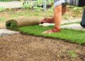 The creation of a lawn with a roll method