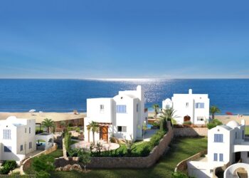 MySpace real estate agency: advantages and features