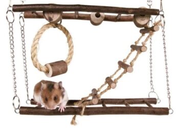 Іграшки для гризунів: забезпечення активності та розваг для вашого маленького друга