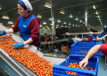 Як знайти роботу в Польщі громадянам України: правила та корисні поради