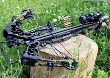 Арбалеты для охоты: основные достоинства и виды