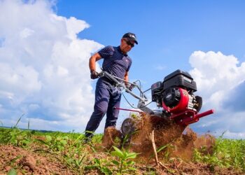 Двигуни для мотоблоків: які бувають і як вибрати