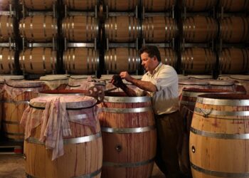 Побудова бізнесу на торгівлі домашнім вином – аспекти та бухгалтерські рекомендації