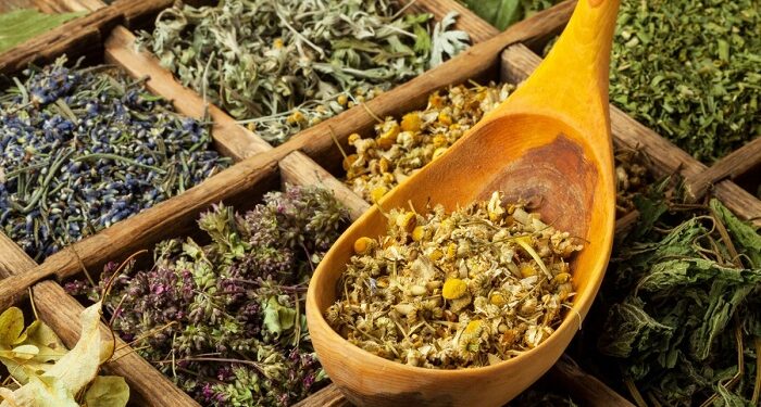 Травяные сборы: ключевые достоинства и полезные свойства, влияние на организм