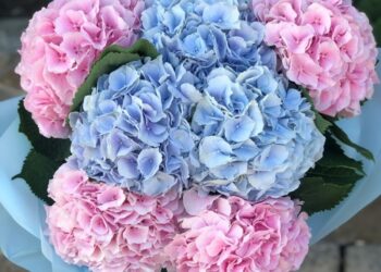 Ідеї ​​з оформлення букетів з гортензії від компанії Marta Flowers