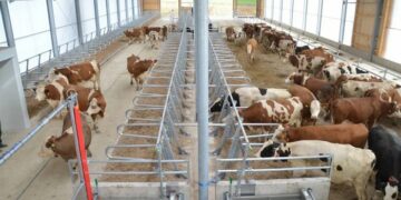 Ефективні рішення для чистоти та комфорту у тваринництві